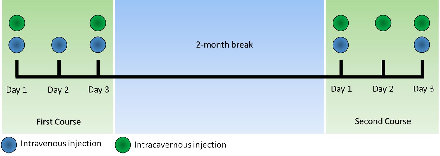 treatment schema treatment schema