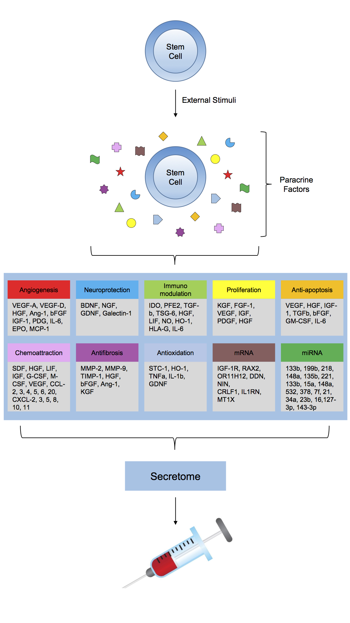 Stem Cell Secretome Pictogram Stem Cell Secretome Pictogram