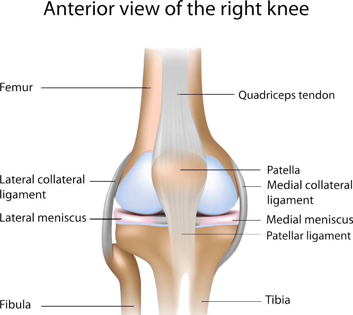 ANOVA-IRM-Germany-stem-cell-therapy-knee-joint-tendons-ligaments-meniscus-damage ANOVA-IRM-Germany-stem-cell-therapy-knee-joint-tendons-ligaments-meniscus-damage | ANOVA IRM
