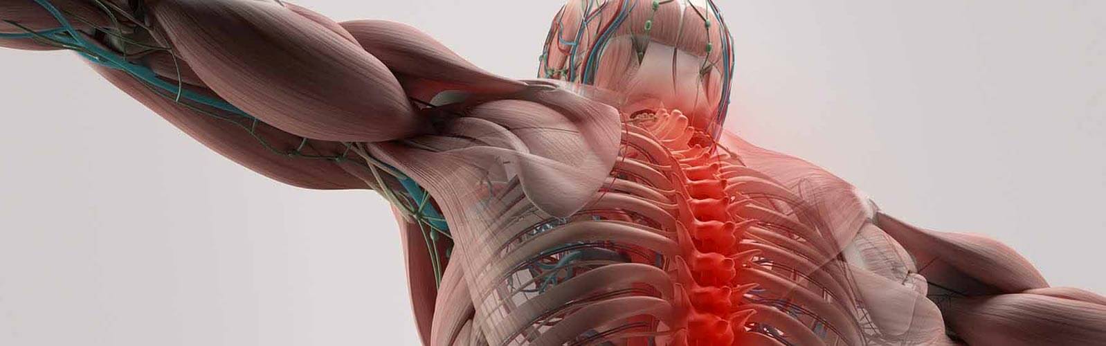 anova institute for regenerative medicine - Mit REMCell-Behandlung vom Rollstuhl wieder zum Gehen. Neue Horizonte: Kombinieren Sie Robotik und ANOVA IRM stammzellenbasierte Behandlungen
