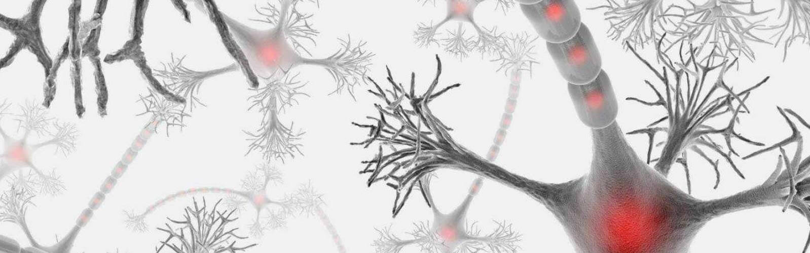 anova institut für regenerative medizin - multiple sklerose