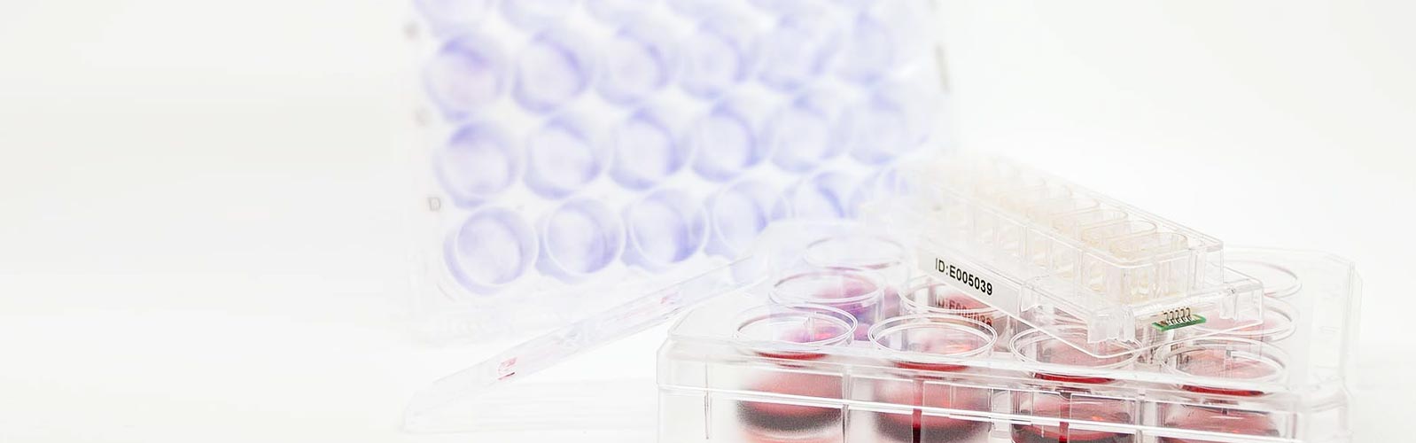 anova institute for regenerative medicine - Zweitmeinung