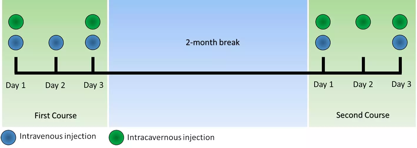 treatment schema treatment schema