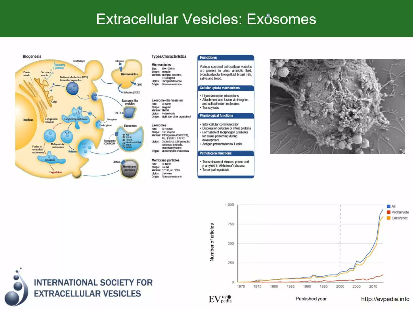 Mesenchmal Stem Cells Extracellular Vesicles Exosomes Statistics Mesenchmal Stem Cells Extracellular Vesicles Exosomes Statistics