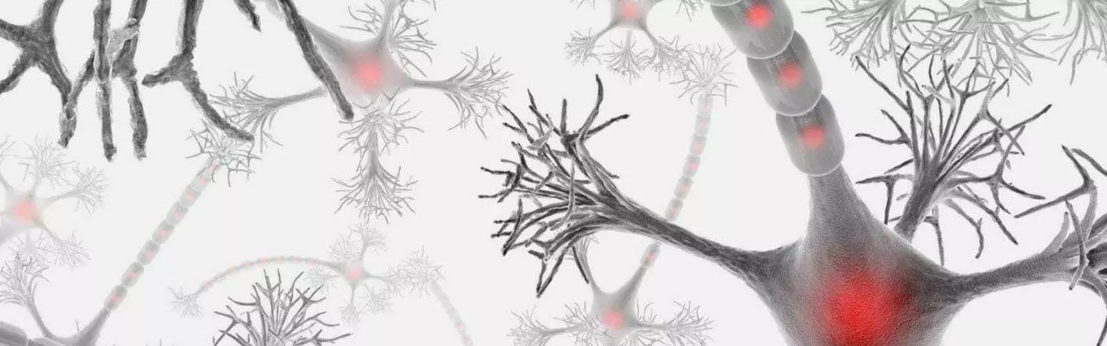 anova institut für regenerative medizin - multiple sklerose